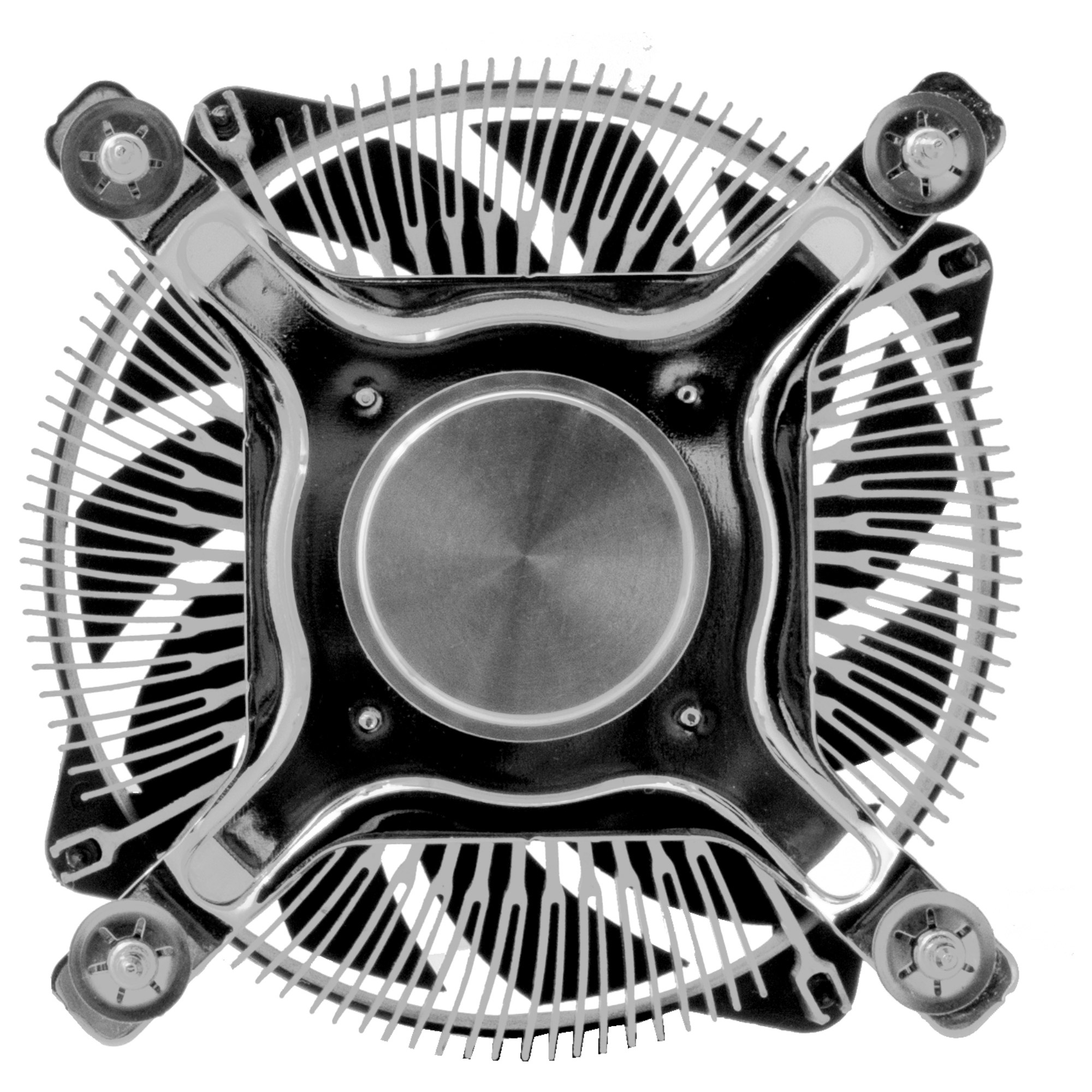 33740L1 33740L1.jpg